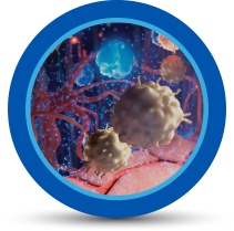 Inhibits activation and proliferation of T cells icon