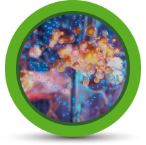 Downregulates anti-apoptosis proteins, which target autoreactive T cells for self-destruction icon